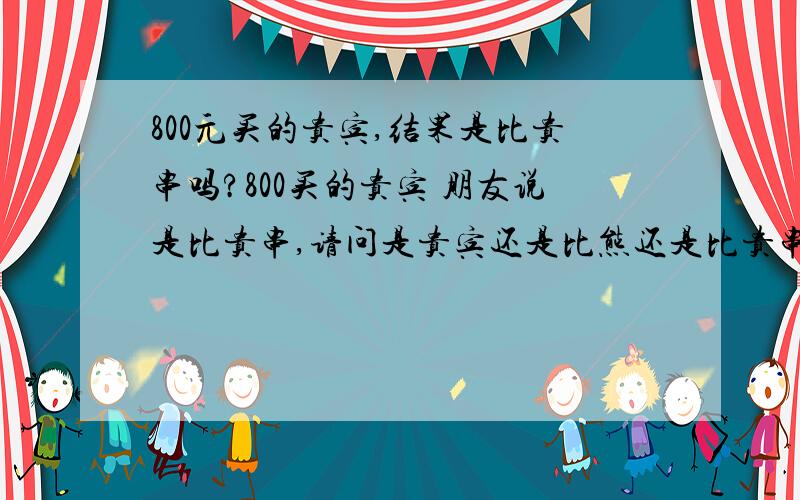 800元买的贵宾,结果是比贵串吗?800买的贵宾 朋友说是比贵串,请问是贵宾还是比熊还是比贵串,如果是比贵串800是不是亏大了?