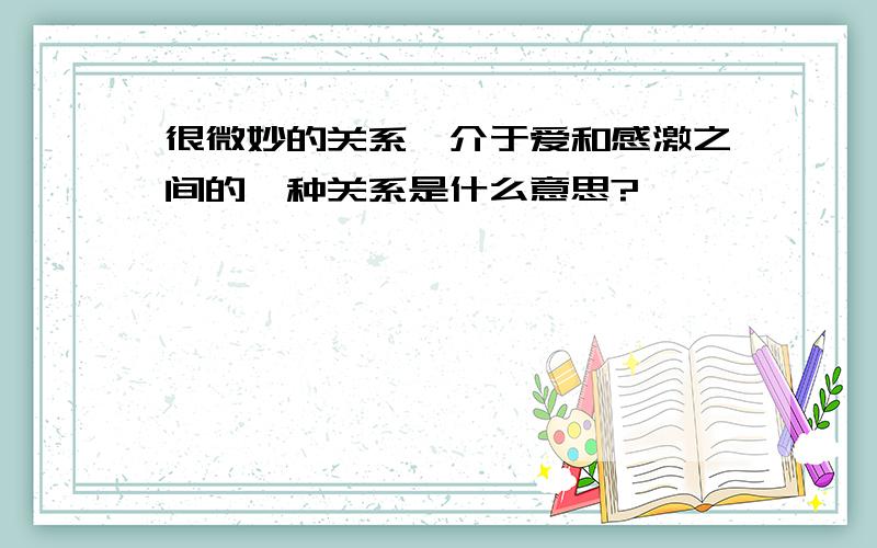 很微妙的关系,介于爱和感激之间的一种关系是什么意思?