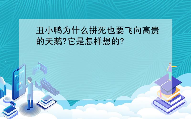 丑小鸭为什么拼死也要飞向高贵的天鹅?它是怎样想的?