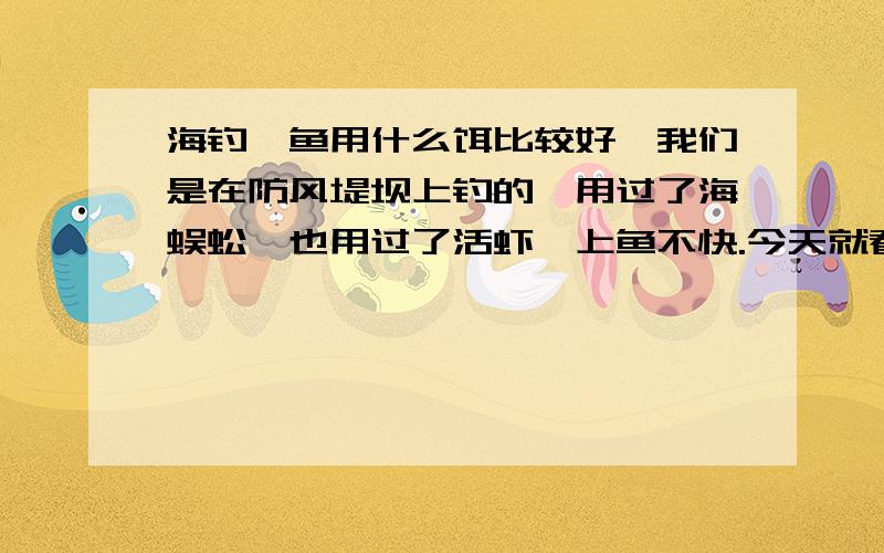 海钓鲈鱼用什么饵比较好,我们是在防风堤坝上钓的,用过了海蜈蚣,也用过了活虾,上鱼不快.今天就看到很多小鱼仔游,也有鲈鱼跳起来捕小鱼,但是就是不吃饵