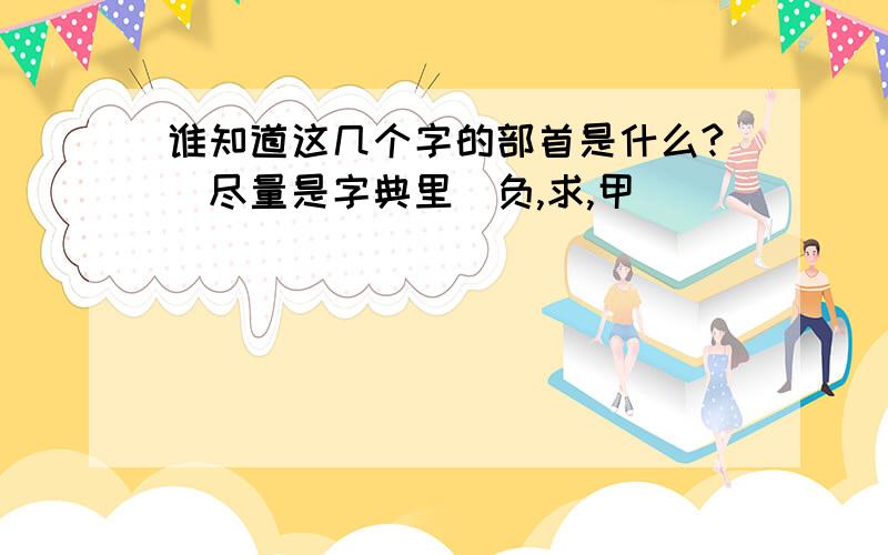 谁知道这几个字的部首是什么?（尽量是字典里）负,求,甲