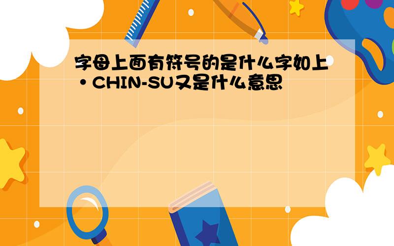 字母上面有符号的是什么字如上·CHIN-SU又是什么意思