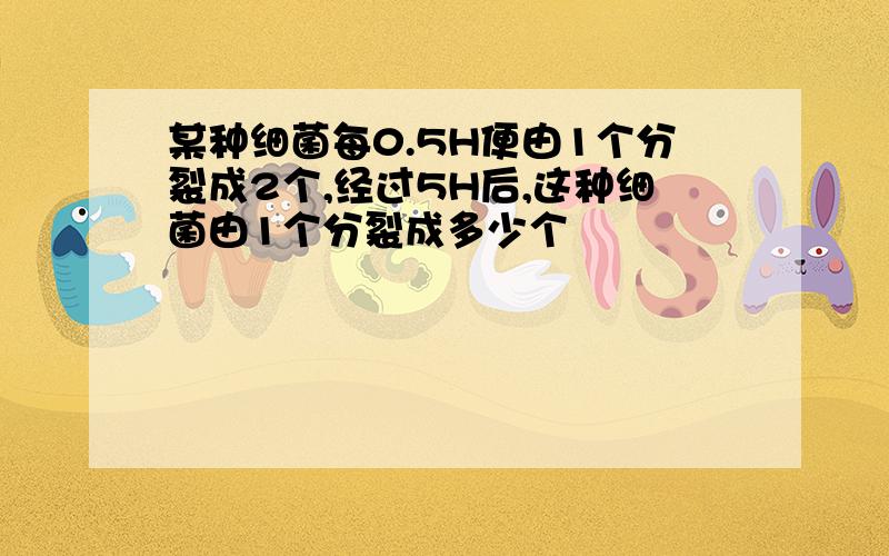 某种细菌每0.5H便由1个分裂成2个,经过5H后,这种细菌由1个分裂成多少个