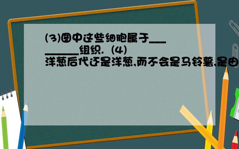 (3)图中这些细胞属于_________组织.  (4)洋葱后代还是洋葱,而不会是马铃薯,是由[______](填标号)所含有的遗传信息决定的.洋葱根尖细胞不断分裂、生长,后代细胞在形态、结构和功能上会产生明