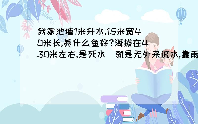 我家池塘1米升水,15米宽40米长,养什么鱼好?海拔在430米左右,是死水（就是无外来流水,靠雨天蓄水和抽水来的池塘）.亚热带季风气候,四季分明.四季热量丰足,无霜期为347天.年平均气温17．9℃,