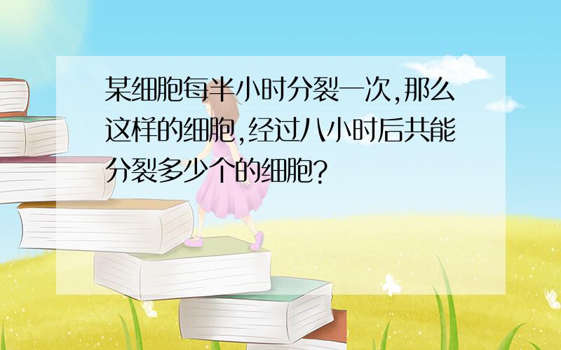 某细胞每半小时分裂一次,那么这样的细胞,经过八小时后共能分裂多少个的细胞?