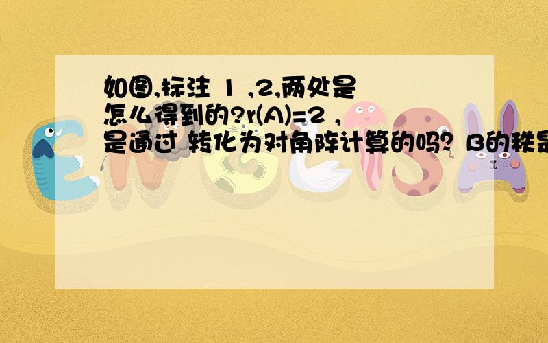 如图,标注 1 ,2,两处是怎么得到的?r(A)=2 ,是通过 转化为对角阵计算的吗？B的秩是怎么得 1的？这块没学明白。