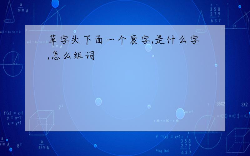 草字头下面一个衰字,是什么字,怎么组词