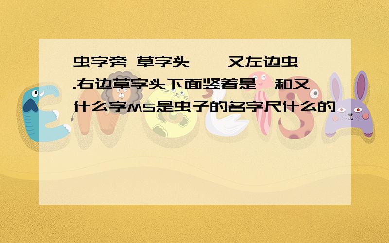 虫字旁 草字头 隹 又左边虫.右边草字头下面竖着是隹和又什么字MS是虫子的名字尺什么的