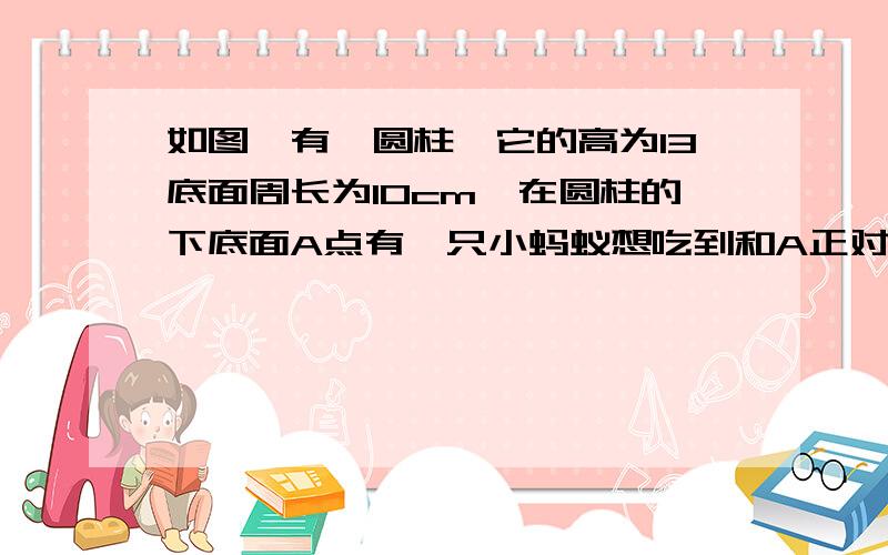 如图,有一圆柱,它的高为13底面周长为10cm,在圆柱的下底面A点有一只小蚂蚁想吃到和A正对的离上底面1cm处的B点的食物,请你帮助小蚂蚁计算一下,他需要爬行的最短路程是多少?