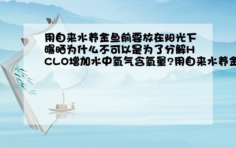 用自来水养金鱼前要放在阳光下曝晒为什么不可以是为了分解HCLO增加水中氧气含氧量?用自来水养金鱼时,将水注入鱼缸以前需要把水放在阳光下曝晒,目的是A 杀菌B 使HCLO分解C 提高水温D 增加