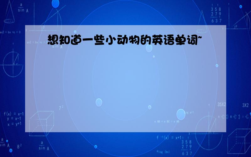 想知道一些小动物的英语单词~