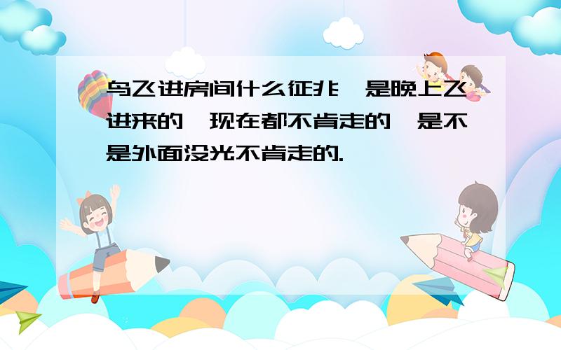 鸟飞进房间什么征兆,是晚上飞进来的,现在都不肯走的,是不是外面没光不肯走的.