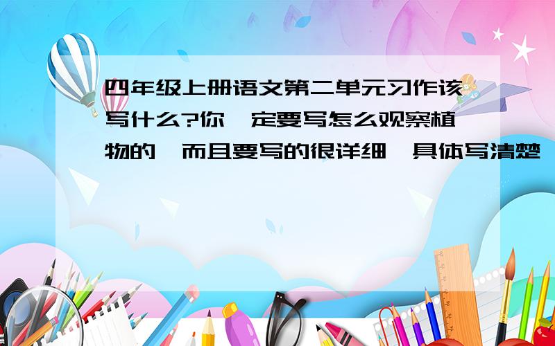 四年级上册语文第二单元习作该写什么?你一定要写怎么观察植物的,而且要写的很详细,具体写清楚一点,