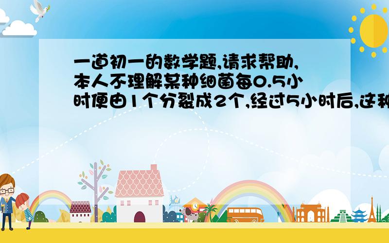 一道初一的数学题,请求帮助,本人不理解某种细菌每0.5小时便由1个分裂成2个,经过5小时后,这种细菌能分裂成多少个?快,好的加分