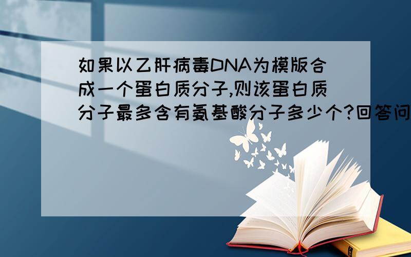 如果以乙肝病毒DNA为模版合成一个蛋白质分子,则该蛋白质分子最多含有氨基酸分子多少个?回答问题的时候请同时告诉我为什么