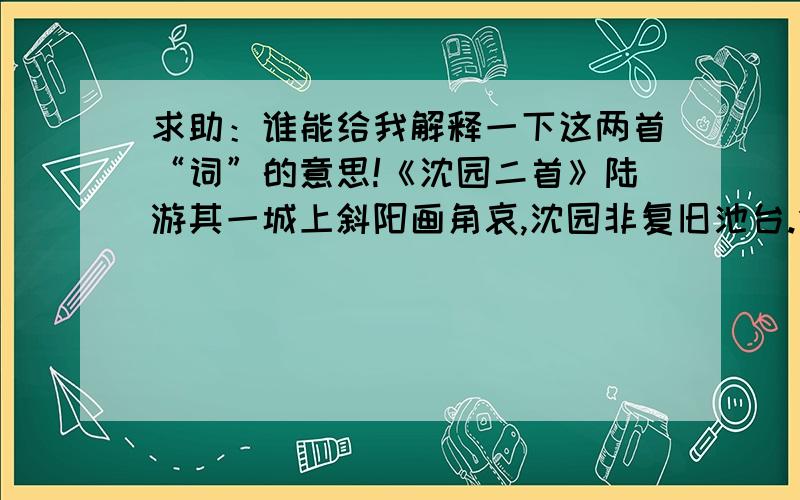 求助：谁能给我解释一下这两首“词”的意思!《沈园二首》陆游其一城上斜阳画角哀,沈园非复旧池台.伤心桥下春波绿,曾是惊鸿照影来.其二梦断香消四十年,沈园柳老不吹绵.此身行作稽山土