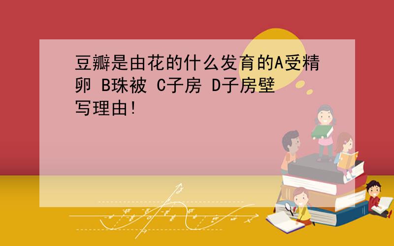 豆瓣是由花的什么发育的A受精卵 B珠被 C子房 D子房壁写理由!