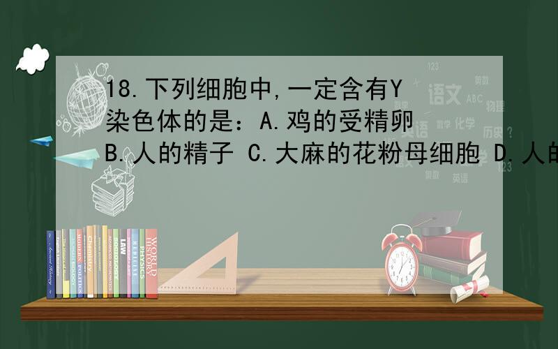 18.下列细胞中,一定含有Y染色体的是：A.鸡的受精卵 B.人的精子 C.大麻的花粉母细胞 D.人的次级精母细胞母细胞不是XX吗?