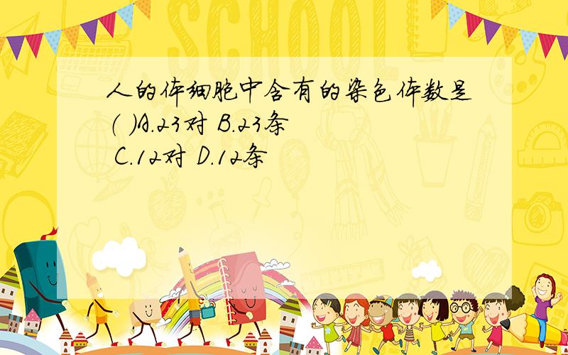 人的体细胞中含有的染色体数是（ ）A.23对 B.23条 C.12对 D.12条