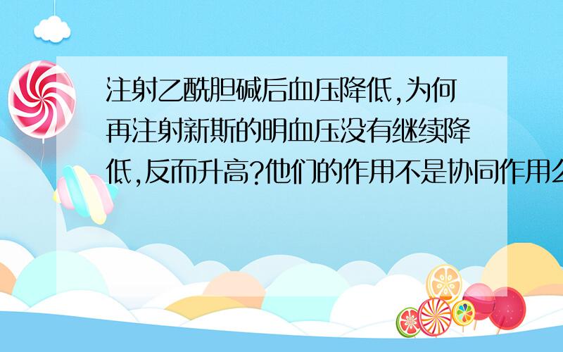 注射乙酰胆碱后血压降低,为何再注射新斯的明血压没有继续降低,反而升高?他们的作用不是协同作用么,新斯的明不是可以抑制胆碱酯酶水解乙酰胆碱么