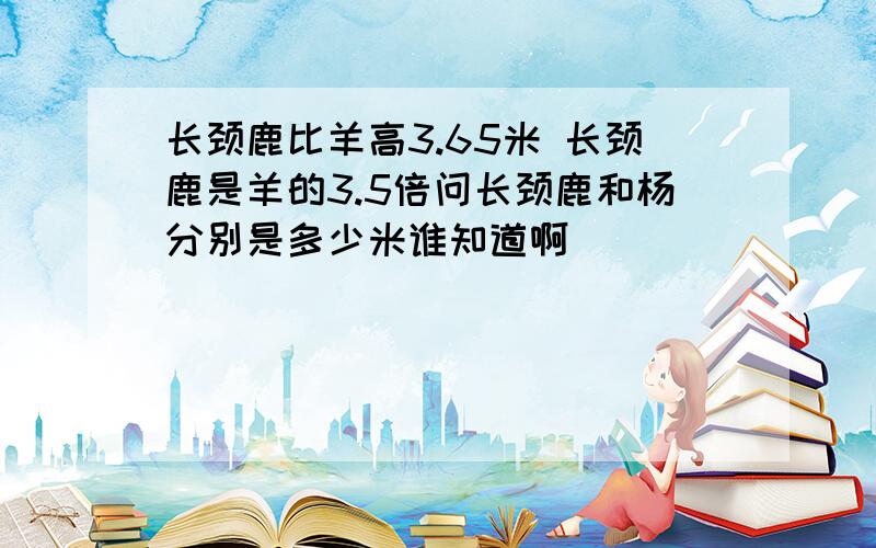 长颈鹿比羊高3.65米 长颈鹿是羊的3.5倍问长颈鹿和杨分别是多少米谁知道啊