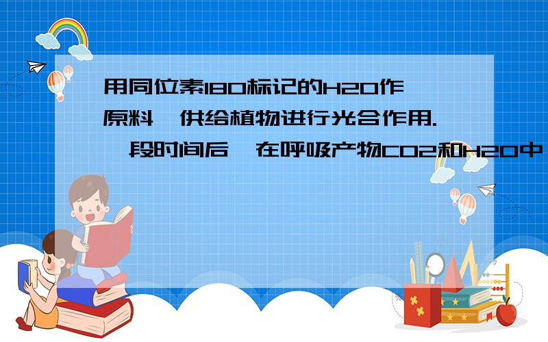 用同位素18O标记的H2O作原料,供给植物进行光合作用.一段时间后,在呼吸产物CO2和H2O中,含有18O的应是（单选）A、H2O B、CO2 C、H2O和CO2 D、H2O或CO2