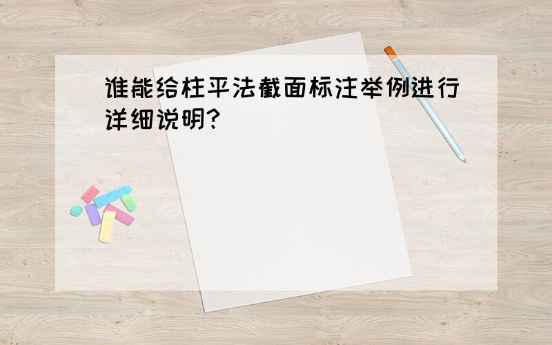 谁能给柱平法截面标注举例进行详细说明?