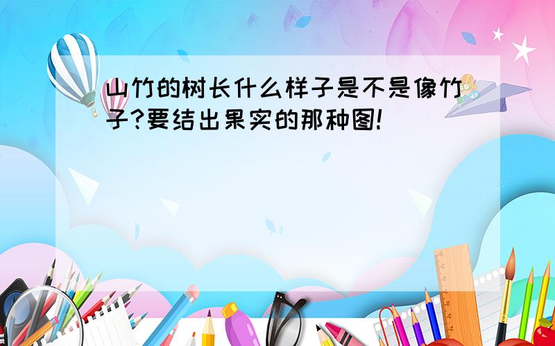 山竹的树长什么样子是不是像竹子?要结出果实的那种图!