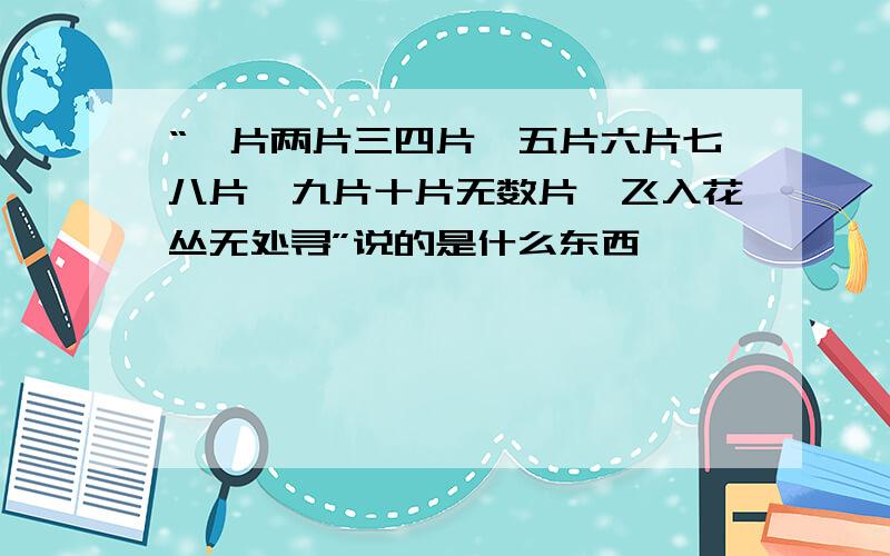 “一片两片三四片,五片六片七八片,九片十片无数片,飞入花丛无处寻”说的是什么东西