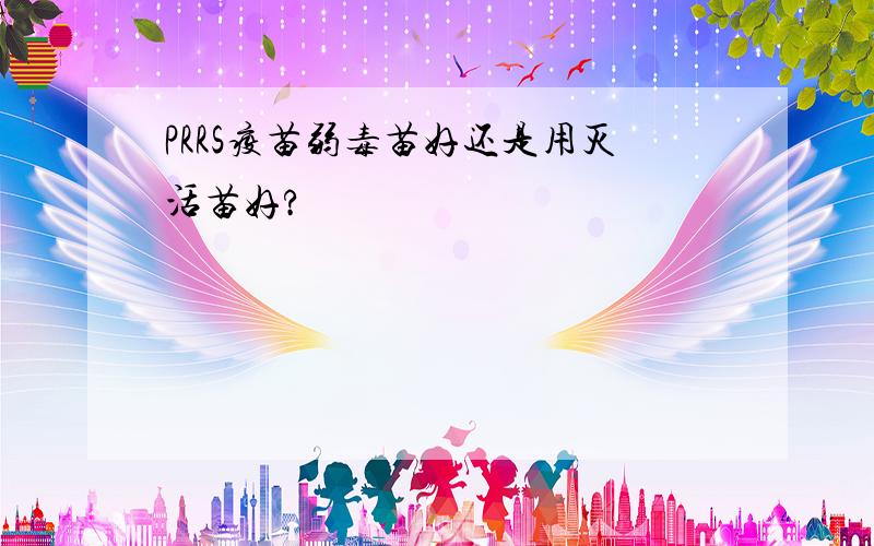 PRRS疫苗弱毒苗好还是用灭活苗好?