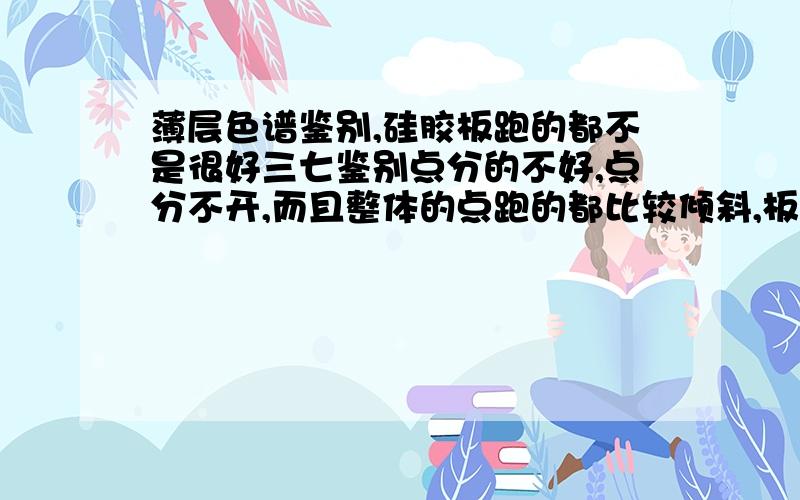 薄层色谱鉴别,硅胶板跑的都不是很好三七鉴别点分的不好,点分不开,而且整体的点跑的都比较倾斜,板跑完拿出来晾干喷上显色剂烘干,出现的斑点页面整体不平整,都是歪的.延胡索鉴别的斑点