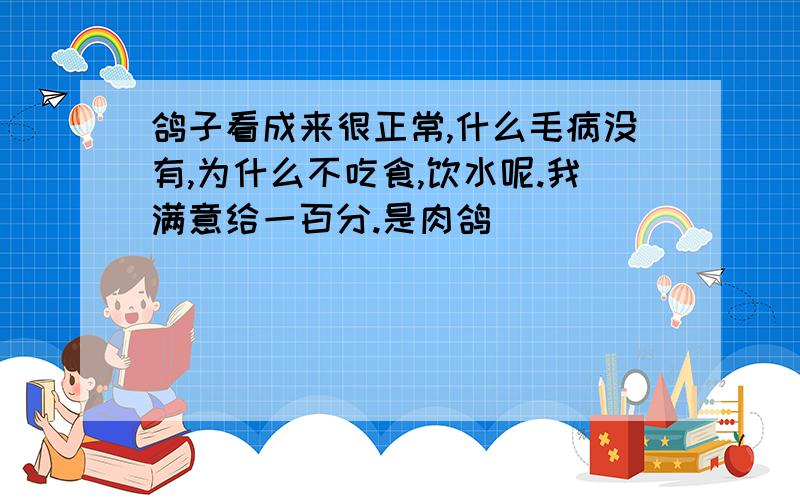 鸽子看成来很正常,什么毛病没有,为什么不吃食,饮水呢.我满意给一百分.是肉鸽