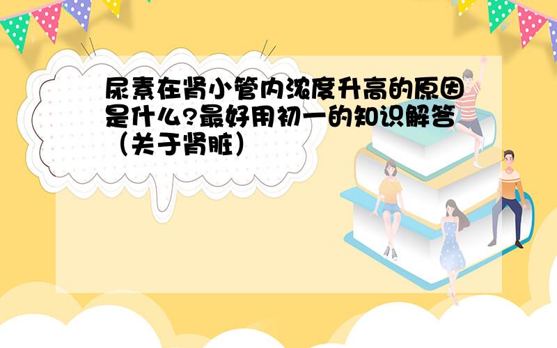 尿素在肾小管内浓度升高的原因是什么?最好用初一的知识解答（关于肾脏）