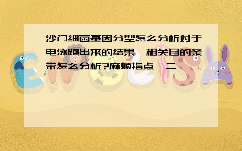 沙门细菌基因分型怎么分析对于电泳跑出来的结果,相关目的条带怎么分析?麻烦指点一二,