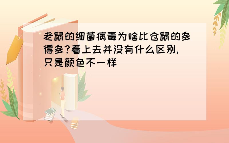 老鼠的细菌病毒为啥比仓鼠的多得多?看上去并没有什么区别,只是颜色不一样