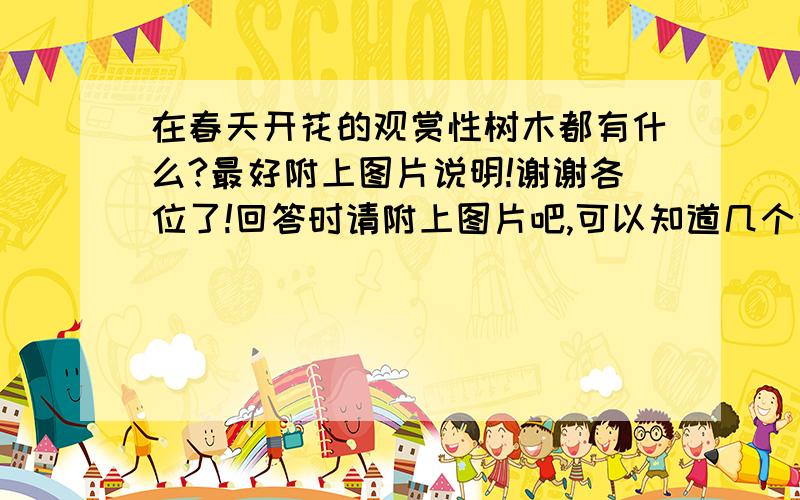 在春天开花的观赏性树木都有什么?最好附上图片说明!谢谢各位了!回答时请附上图片吧,可以知道几个说几个,我是想认识几种这样的植物,没图片我没法了解它!谢谢各位,麻烦大家了!
