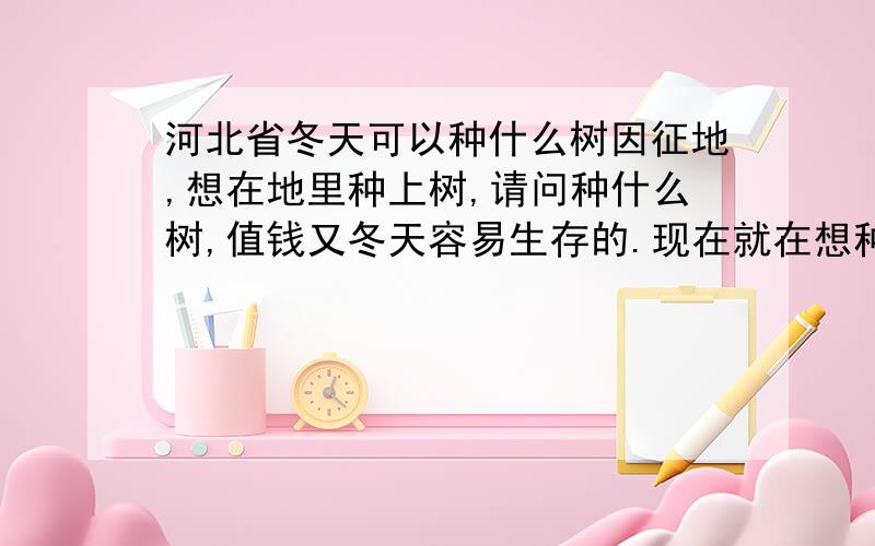 河北省冬天可以种什么树因征地,想在地里种上树,请问种什么树,值钱又冬天容易生存的.现在就在想种什么树呢?