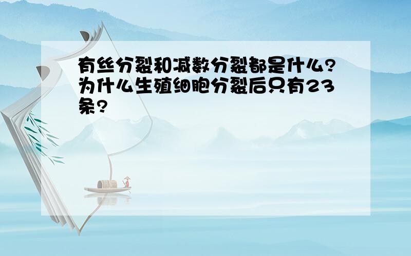 有丝分裂和减数分裂都是什么?为什么生殖细胞分裂后只有23条?