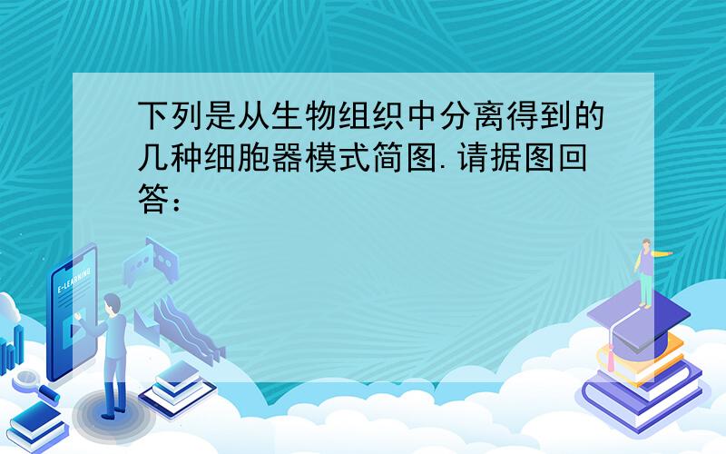 下列是从生物组织中分离得到的几种细胞器模式简图.请据图回答：