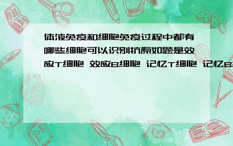 体液免疫和细胞免疫过程中都有哪些细胞可以识别抗原如题是效应T细胞 效应B细胞 记忆T细胞 记忆B细胞 T细胞 还是B细胞