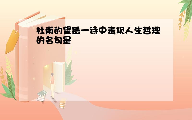 杜甫的望岳一诗中表现人生哲理的名句是