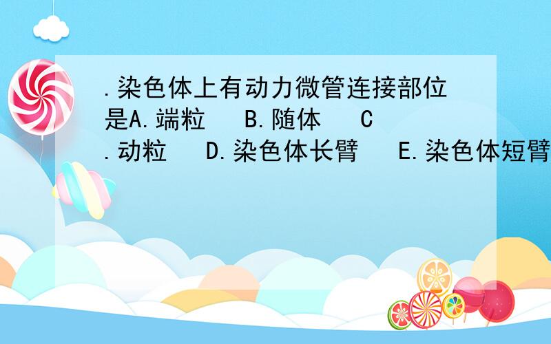 .染色体上有动力微管连接部位是A.端粒 　B.随体 　C.动粒 　D.染色体长臂 　E.染色体短臂