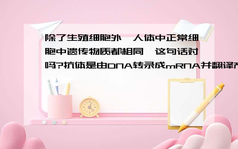 除了生殖细胞外,人体中正常细胞中遗传物质都相同,这句话对吗?抗体是由DNA转录成mRNA并翻译产生的,那么.