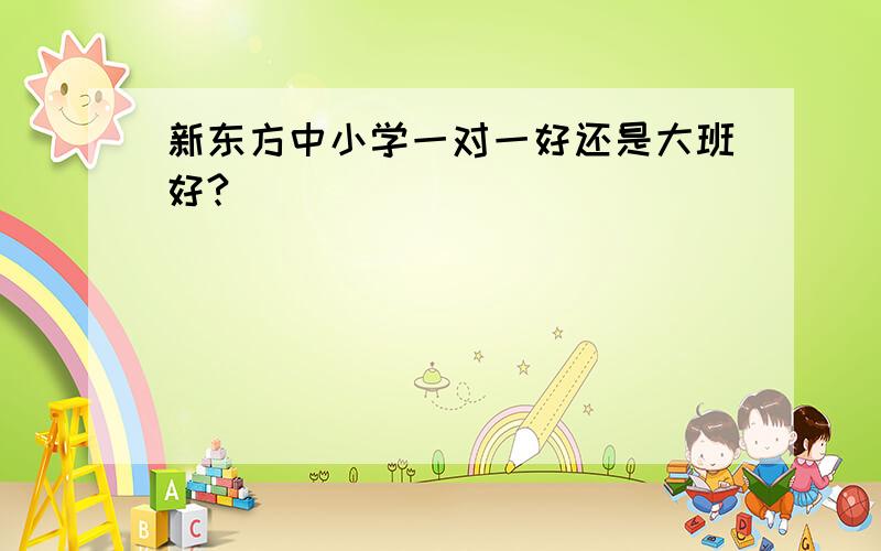 新东方中小学一对一好还是大班好?