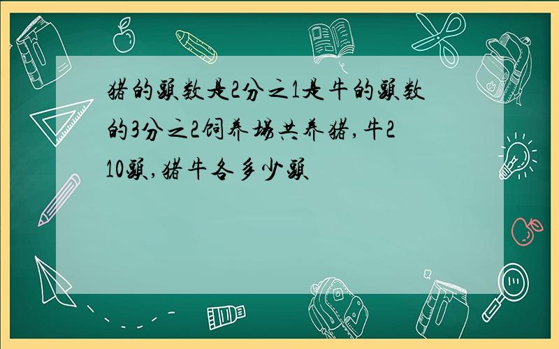 猪的头数是2分之1是牛的头数的3分之2饲养场共养猪,牛210头,猪牛各多少头