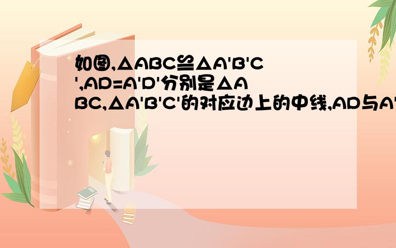 如图,△ABC≌△A'B'C',AD=A'D'分别是△ABC,△A'B'C'的对应边上的中线,AD与A'D'有什么关系?证明你的结论