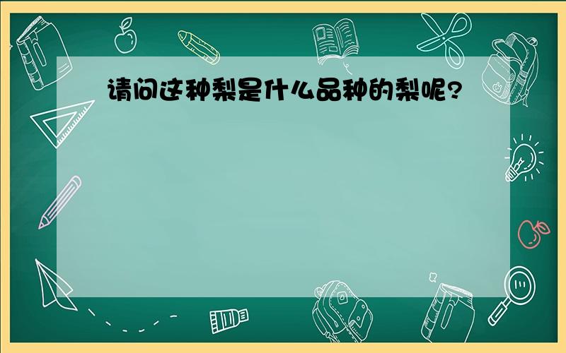 请问这种梨是什么品种的梨呢?