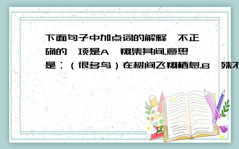 下面句子中加点词的解释,不正确的一项是A、翔集其间.意思是：（很多鸟）在树间飞翔栖息.B、殊不畏人.意思是：（这些鸟）很特殊,不怕人.C、闾里间见之,以为异事.意思是：乡里人见了,都