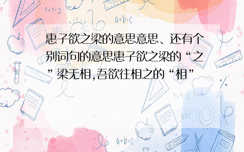 惠子欲之梁的意思意思、还有个别词句的意思惠子欲之梁的“之”梁无相,吾欲往相之的“相”